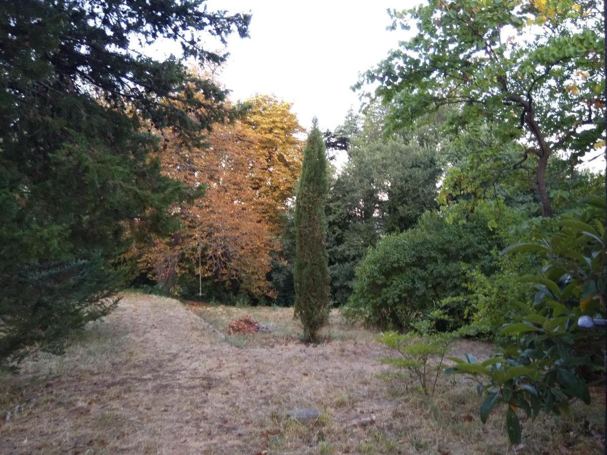 Jankovich Castle Apartman Benkovac Kültér fotó