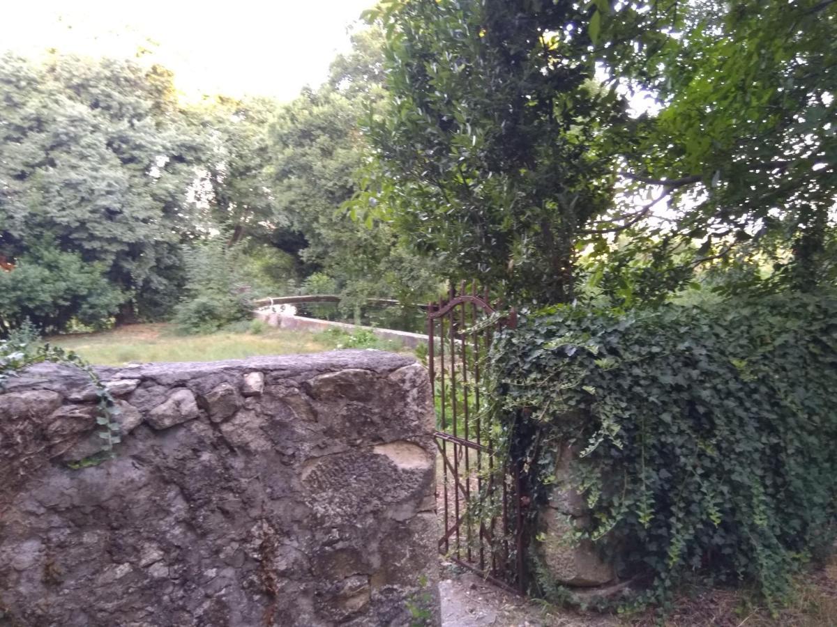 Jankovich Castle Apartman Benkovac Kültér fotó