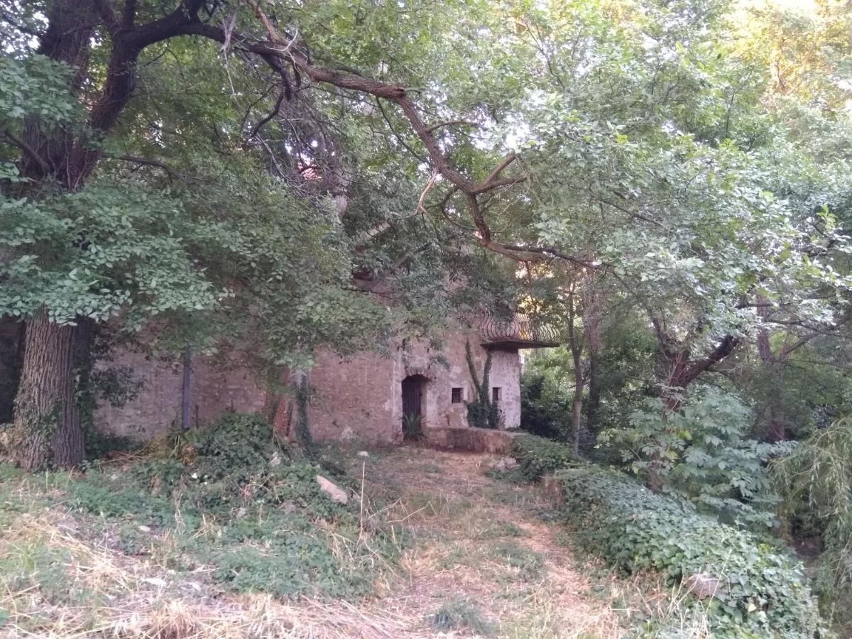 Jankovich Castle Apartman Benkovac Kültér fotó